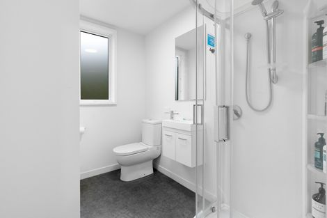 Photo of property in 3 Bishops Road, Dunedin Central, Dunedin, 9016