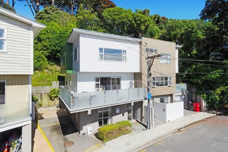 Photo of property in 3a Anderson Terrace, Mount Cook, Wellington, 6021