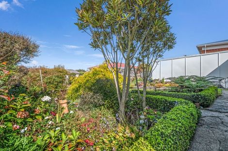Photo of property in 21 Rother Street, Oamaru, 9400
