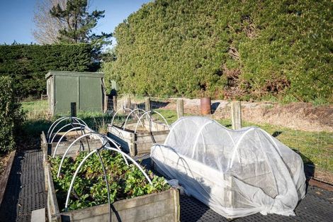 Photo of property in 43 Bramleys Road, Flaxton, Kaiapoi, 7691