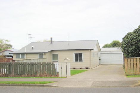 Photo of property in 155 Tiro Tiro Road, Levin, 5510