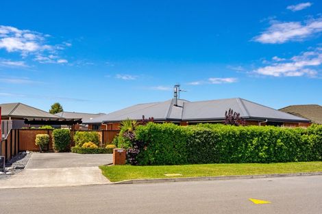 Photo of property in 5 De Castro Drive, Blenheim, 7201