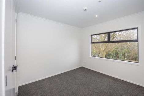 Photo of property in 20u6 Tisdall Street, Hamilton Central, Hamilton, 3204