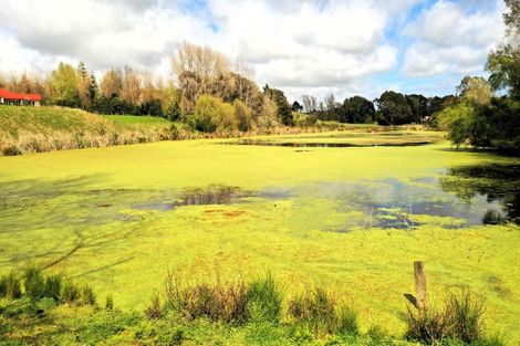Photo of property in 70 Te Whanga Road, Levin, 5572