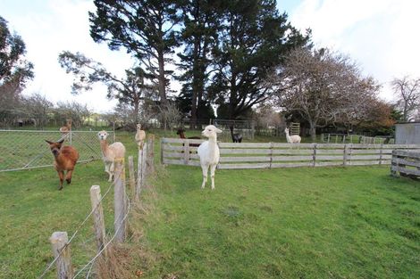 Photo of property in 81929 State Highway 2, Pahiatua, 4984