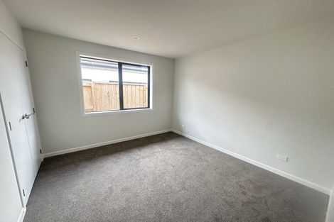 Photo of property in 12 Celeste Terrace, Peacocke, 3206