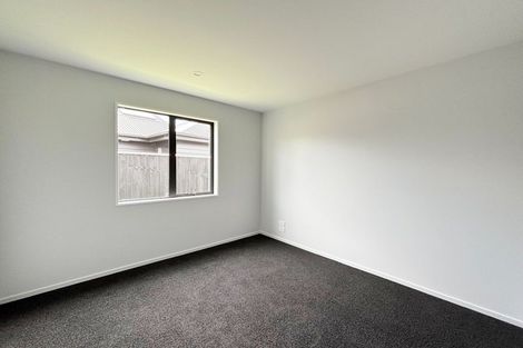 Photo of property in 78 River Stone Drive, Halswell, Christchurch, 8025