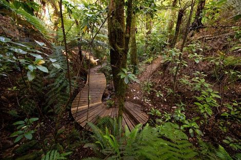 Photo of property in 22 Herring Stream Road, Motueka Valley, Motueka, 7196