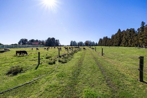 Photo of property in 386 Marshmeadow Road, Newstead, Hamilton, 3286