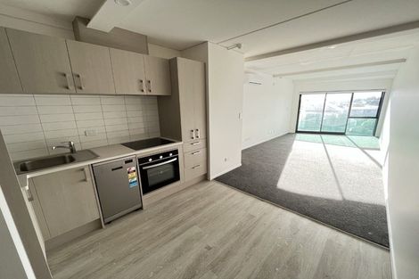 Photo of property in 70 Park Avenue, Rosehill, 2113