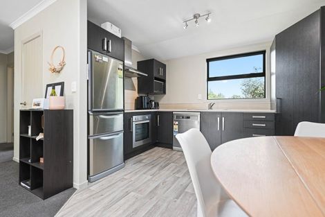 Photo of property in 21a Lancaster Street, Dinsdale, Hamilton, 3204