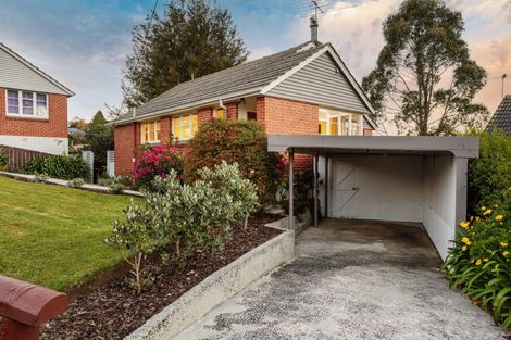 Photo of property in 17 Lowe Street, Liberton, Dunedin, 9010