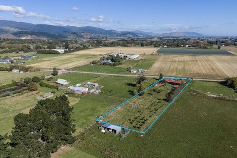 Photo of property in 88 Buller Road, Levin, 5510