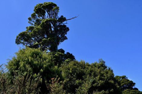 Photo of property in 55b Barry Road, Waihi, 3610