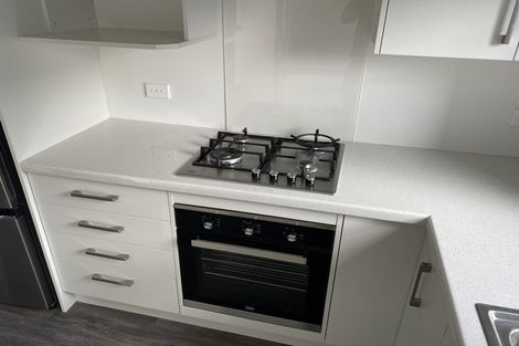 Photo of property in 167u2 Nixon Street, Hamilton East, Hamilton, 3216