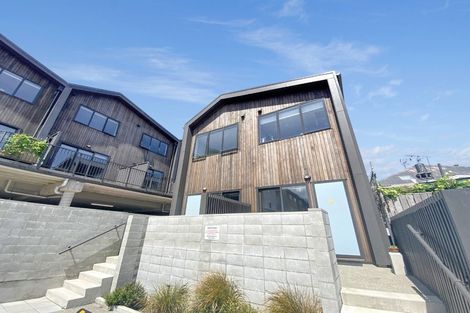 Photo of property in Aniva Terrace, 14 Arney Street, Newtown, Wellington, 6021