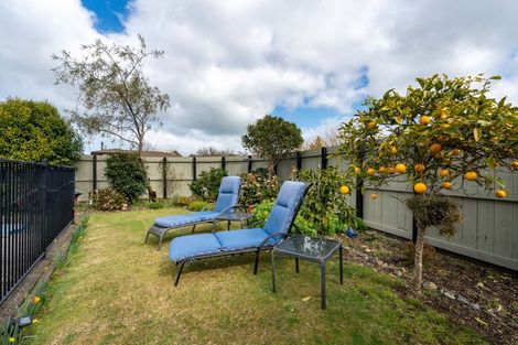 Photo of property in 1 Irene Crescent, Dinsdale, Hamilton, 3204