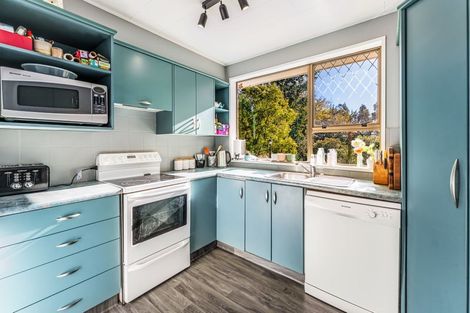 Photo of property in 146 Lyalldale Road, Saint Andrews, 7988