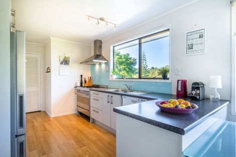 Photo of property in 28 Glamorgan Drive, Torbay, Auckland, 0630