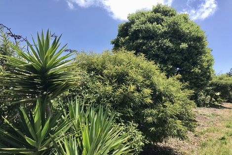Photo of property in 7 Strathnaver Drive, Waikawa Beach, Manakau, 5573