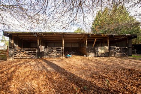 Photo of property in 156 Vogel Street, Woodville, 4920