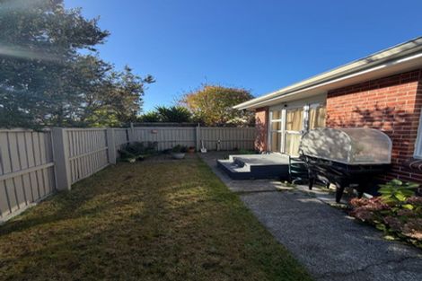 Photo of property in 19 Richill Street, Belfast, Christchurch, 8051