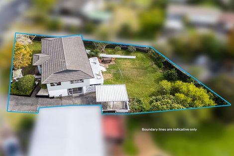 Photo of property in 41 Spence Road, Henderson, Auckland, 0612