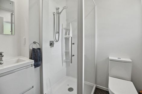 Photo of property in 55 Casey Avenue, Fairfield, Hamilton, 3214