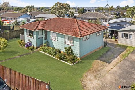 Photo of property in 12 Hinerau Street, Henderson, Auckland, 0612