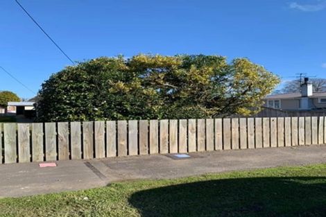 Photo of property in 102 Cockburn Street, Kuripuni, Masterton, 5810