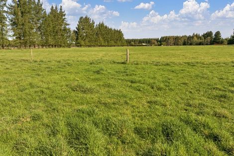 Photo of property in 185 Worlingham Road, Eyrewell, Rangiora, 7476