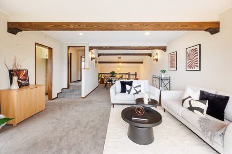 Photo of property in 47 Dittmer Drive, Awapuni, Palmerston North, 4412