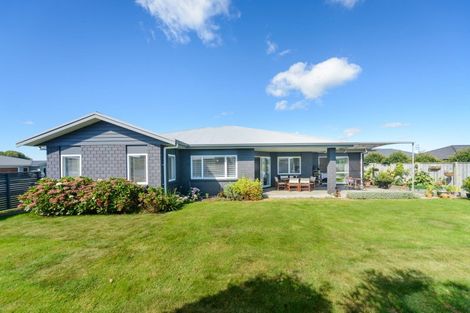 Photo of property in 13 Cherry Place, Feilding, 4702