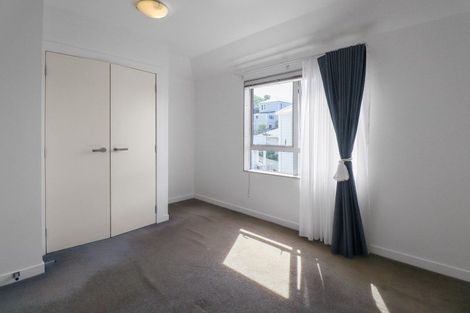 Photo of property in 3um Papawai Terrace, Mount Cook, Wellington, 6021