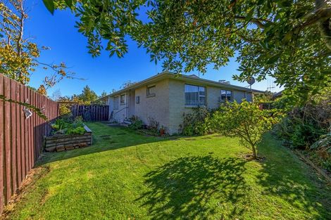 Photo of property in 8a Gainsborough Grove, Highbury, Palmerston North, 4412