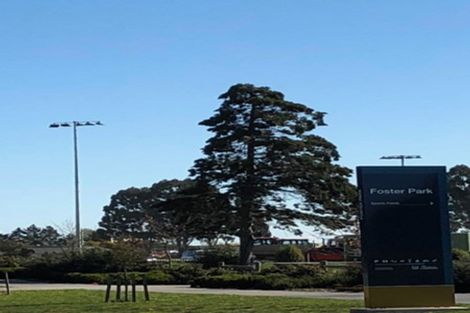 Photo of property in 31 Falcon Road, Rolleston, 7615