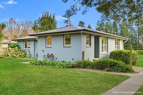 Photo of property in 14 Acheron Avenue, Lake Coleridge, 7572