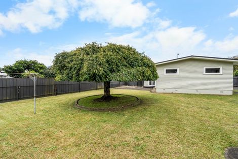Photo of property in 41 Fitzroy Avenue, Fitzroy, Hamilton, 3206