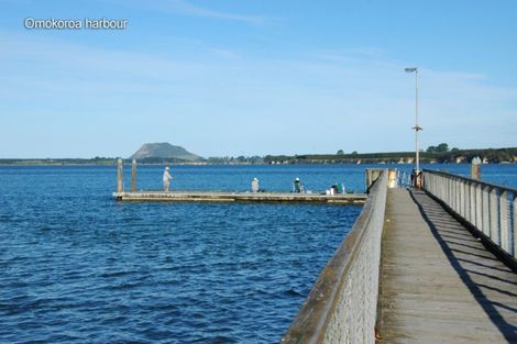 Photo of property in 29 Tory Way, Omokoroa, 3114