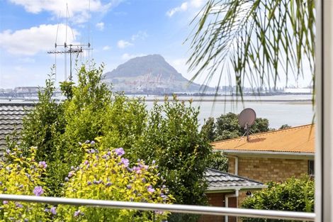 Photo of property in 322b Maungatapu Road, Maungatapu, Tauranga, 3112