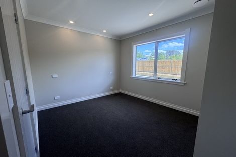 Photo of property in 84a Hastings Street, Halcombe, 4779