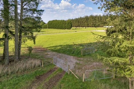 Photo of property in 185 Worlingham Road, Eyrewell, Rangiora, 7476