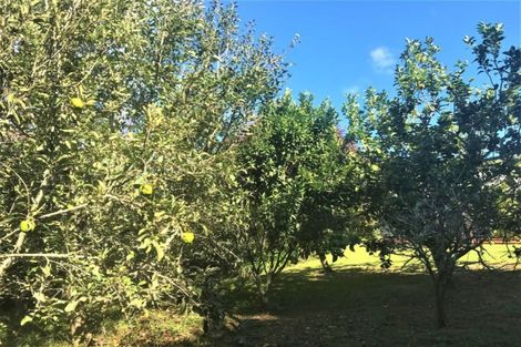 Photo of property in 190 Garbolino Road, Mangawhai, Kaiwaka, 0573