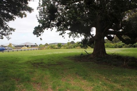 Photo of property in 5 Heartstone Place, Te Kamo, Kamo, 0185