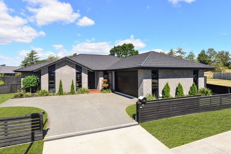 Photo of property in 22 Matawhero Place, Ngaruawahia, Hamilton, 3288