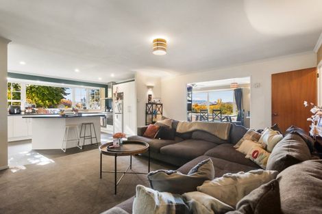 Photo of property in 217 Manuherikia Road, Springvale, Alexandra, 9393
