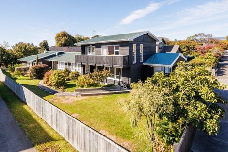 Photo of property in 245 Victoria Avenue, Hokowhitu, Palmerston North, 4410