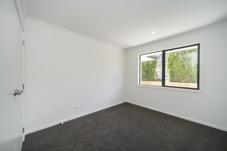 Photo of property in 27b Tyne Street, Roslyn, Palmerston North, 4414