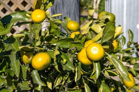 Photo of property in 68 Hiwipango Road, Belgrove, Wakefield, 7095