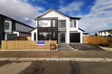 Photo of property in 41 Myland Drive, Hobsonville, Auckland, 0616